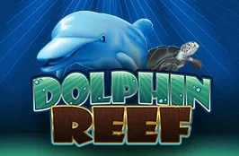 Dolphin Reef
