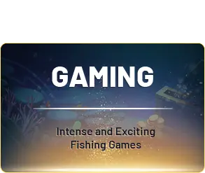 gaming
